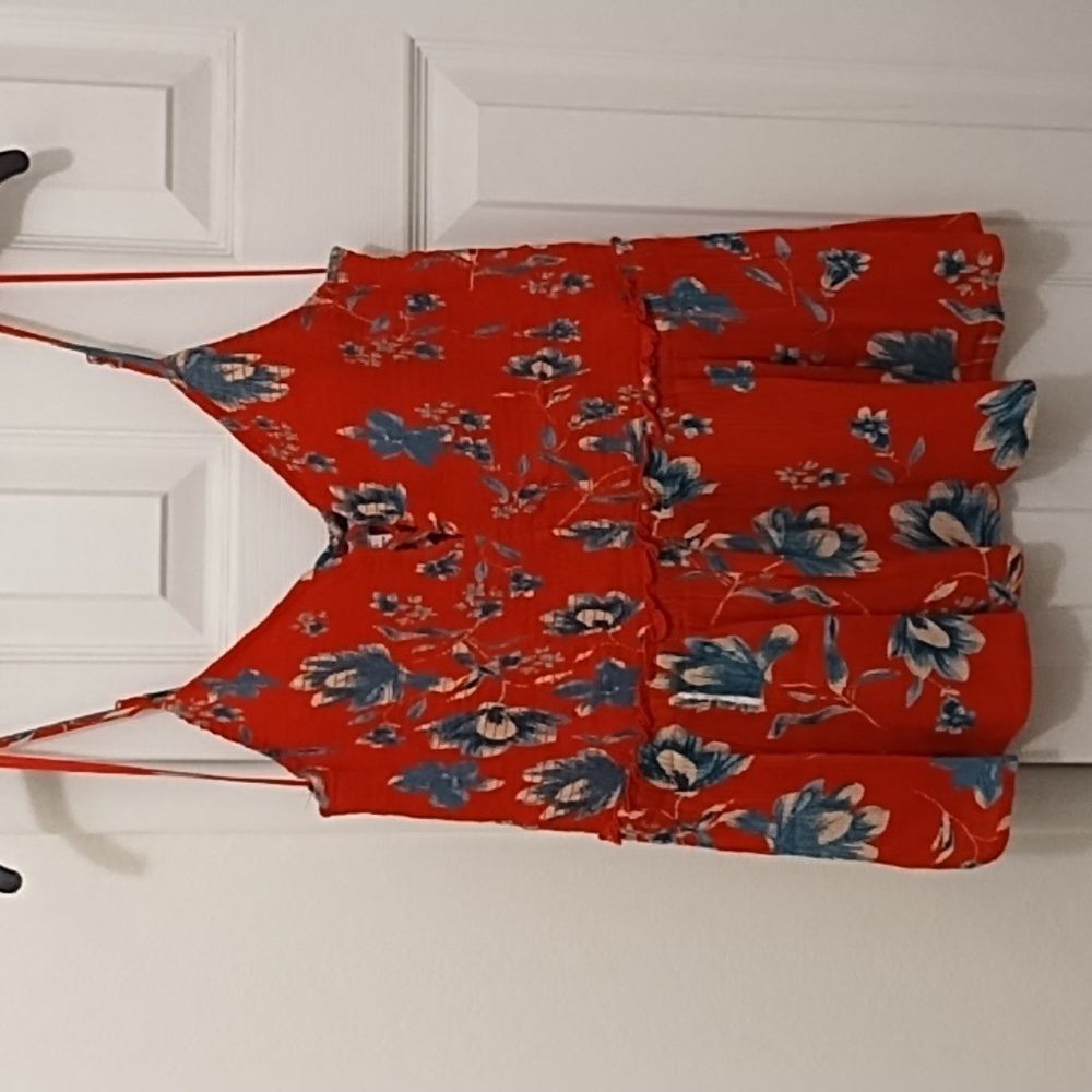 Patrons of Peace Red w/blue floral print